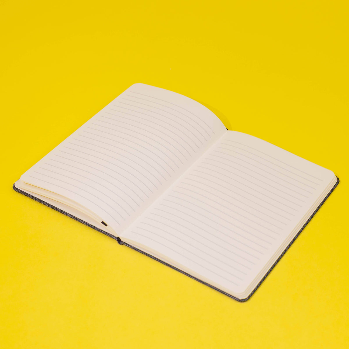 Sustainable Tampa Bay Notebook – Visit Tampa Bay